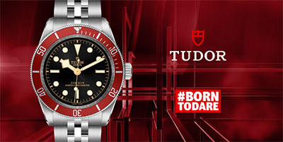 tudor history